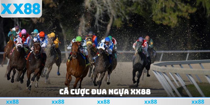 Cá Cược Đua Ngựa